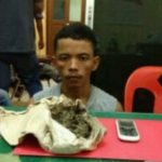 Warga Pangkalan Kerinci Dibekuk Polisi Miliki Daun Ganja