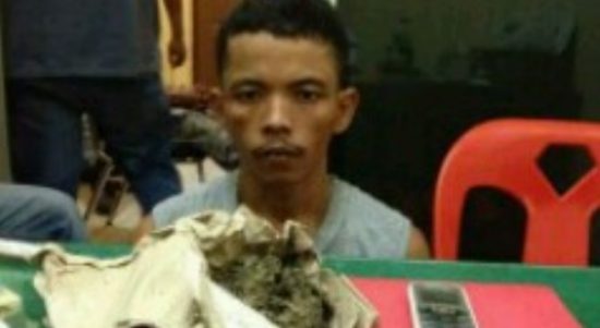 Warga Pangkalan Kerinci Dibekuk Polisi Miliki Daun Ganja