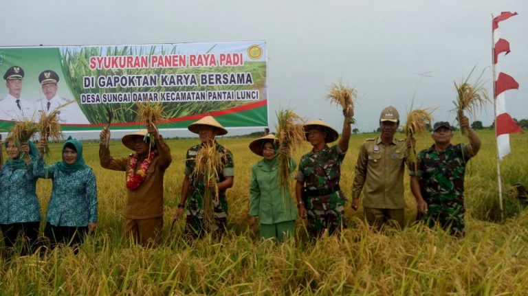 Babinsa Dorong Petani Wujudkan Swasembada Beras | Lintas10.com Adalah ...